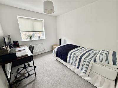 Picture 20